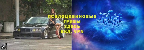 стаф Богородицк