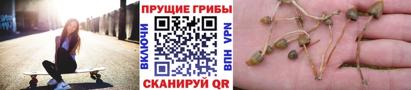 Псилоцибиновые грибы прущие грибы  Купить закладки  Бирск 